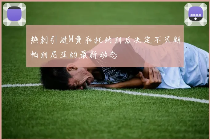热刺引进M费和托纳利后决定不买断帕利尼亚的最新动态
